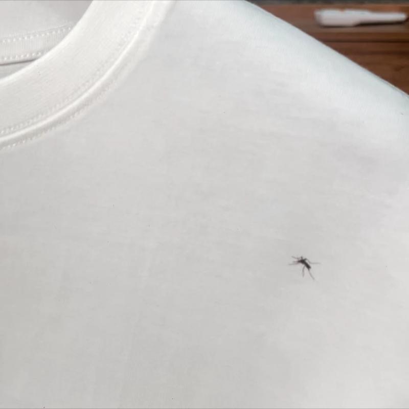 There is a mosquito T-shirt